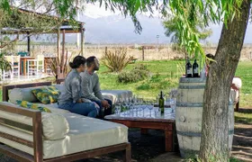 UCO VALLEY WINERIES DAY with PRIVATE DRIVER