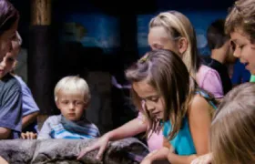 SEA LIFE Paris Aquarium Child