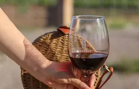 Aguascalientes: Magical Town and Vineyard Sightseeing Tour