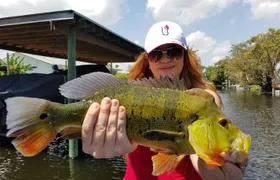 All Day Bass Fishing Trip near Boca Raton