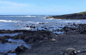Big Island of Hawaii sightseeing day tour from Kohala