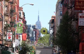 Original NYC Guided Food Tour of Chinatown and Little Italy