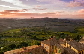 Montepulciano: Winery Tour & Tasting Experience