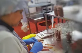 Santoña: Anchovy Factory & Boat Trip with tickets-small groups