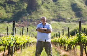 Waipara Wine Experience for 2 or more, inc tastings and lunch