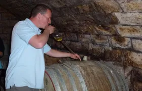 Half-day Wine Tasting Tour in Etyek Wine Country near Budapest