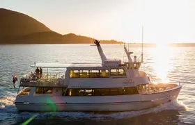 Premium Milford Sound Small Group Tour & Cruise from Queenstown 