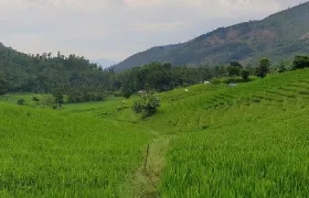 Hot Air Balloon ride in Dambulla