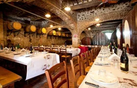 Wine Experience in farm vineyard & winery from Montecatini T.