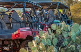 Guided Arizona Desert Tour by UTV - Centipede Tour
