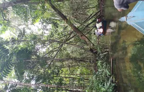 Regional Cruise in the Amazon