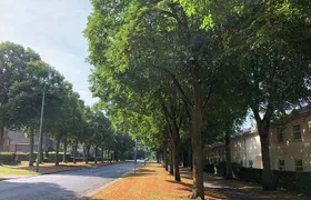 Letchworth Garden City: Self-Guided History Puzzle Walk