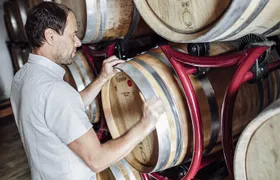 Guided winery tour with tasting in Bolzano at the SKYWINE PAVILLON