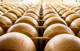 Guided small-group tour TastyBus: Parmesan Cheese and Parma Ham