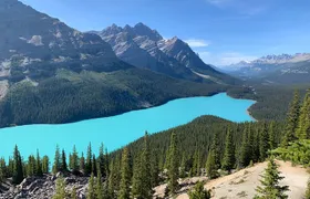 Lake Louise and the Icefields Parkway Full-Day Tour