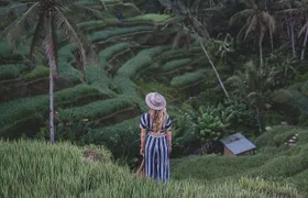 Ubud: Monkey Forest, Jungle Swing, Rice Terrace, and Water Temple