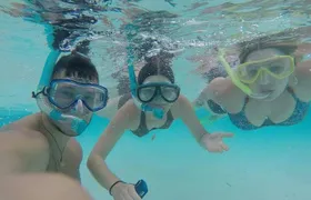 3 Point Snorkeling Safari