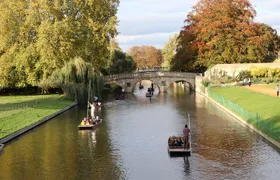 Shared Punt Tour - Cambridge