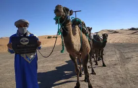 Ouarzazate - Desert - Fes 5 days 4 nights