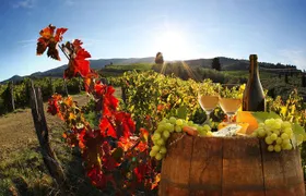 Chianti, SuperTuscan & San Gimignano - 2 wineries and light lunch