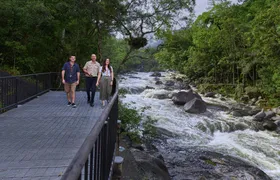 Full-day Cape Tribulation, Daintree and Mossman Gorge with lunch