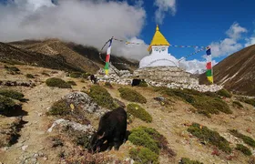 Everest Base Camp Trek