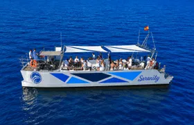 Dolphin watching shared catamaran tour in Benalmádena