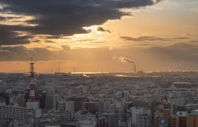 Kobe Half Day Tour with a Local: 100% Personalized & Private 