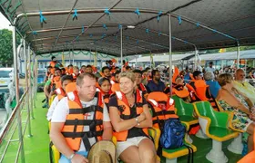 Whales and Dolphins Watching-Luxury Super Grade Cruiser(Hotel Pick up offered)