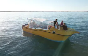 Half Day Snorkel 2.5hr Turtle Tour on the Ningaloo Reef, Exmouth