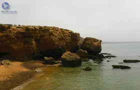 Big Cap Sim dunes and forest 3 hours tour.