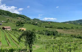 A sparkling day in the Prosecco Hills from Venice by Yellowboot