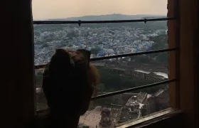 Private Jodhpur Blue City Walking Tour with Guide