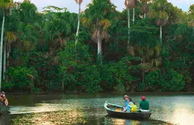 Tambopata Jungle Adventure Tour 4 Days