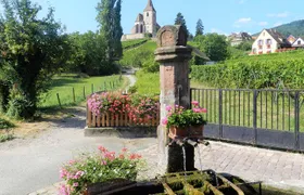 The Emblematic: visit of villages, Haut-Koenigsbourg, Wine tasting
