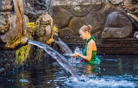 Monkey Forest, waterfall, rice terrace jungle swing private tour