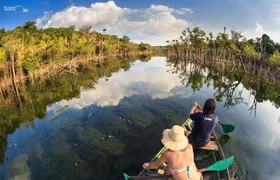 Alter do Chão FLONA Jamaraquá Tour