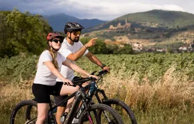 Castiglion Fiorentino - eBike tour in the tuscan countryside