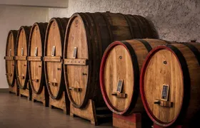 Winemaker for a Day: Tour an Organic Winery