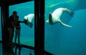 Nausicaá - Centre national de la Mer Ticket Student