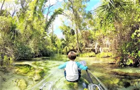 Rock Springs 2-Hour Glass Bottom Guided Kayak Eco Tour