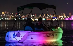 Glow Nightime Pedal Boat Rental in San Diego Bay