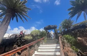 Lanzarote: Jameos del Agua & North Island for Cruise Guests