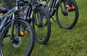 Tigoni: E-bike Tour
