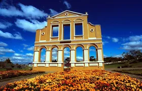 Experience the Best of Curitiba: City Tour Highlights