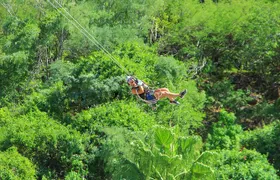 Outdoor Ziplining and UTV Adventure from Los Cabos