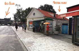 Dubrovnik Discovery Old Town Walking Tour