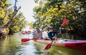 PM Half-Day Trip from Key West with Kayaking, Snorkeling & Sunset