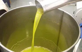 Amarone Della Valpolicella Wine Experience - Meet the Vogadori Family