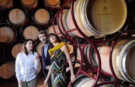 Bolgheri: Classic Wine Tasting with Winery Tour